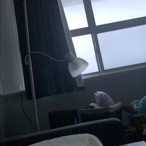 Meet your Posher, Jessie